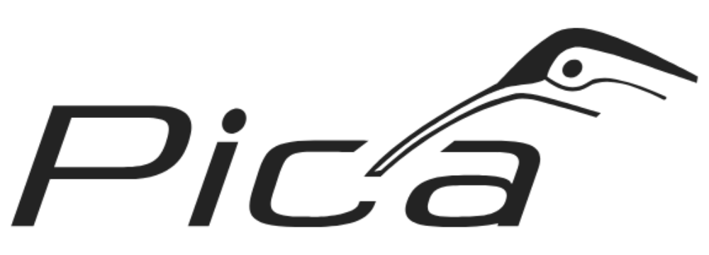 Pica