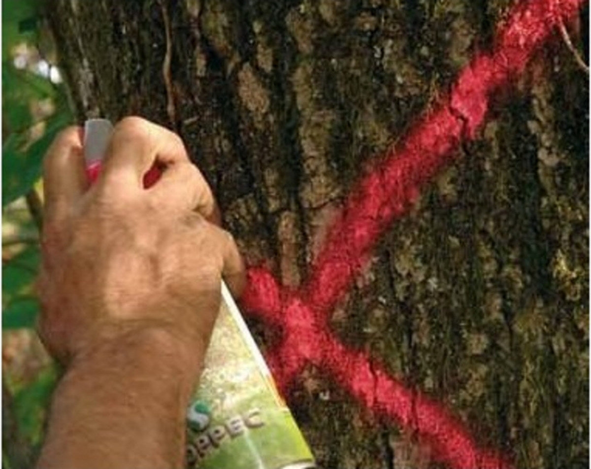 Soppec Forst Markierungsspray Markierspray Leuchtmarkierfarben