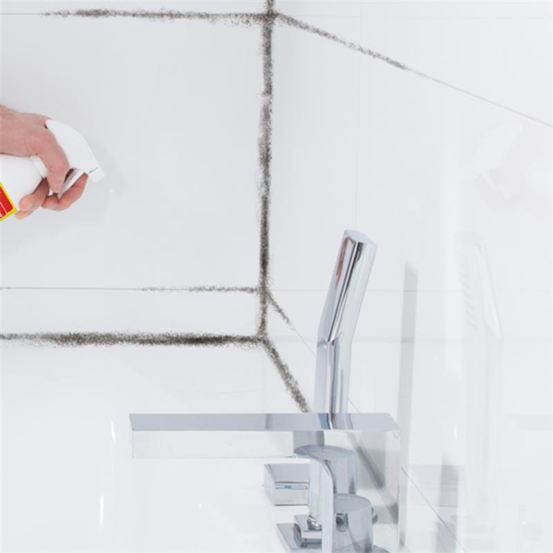 HG Schimmel-Vernichter 500ml