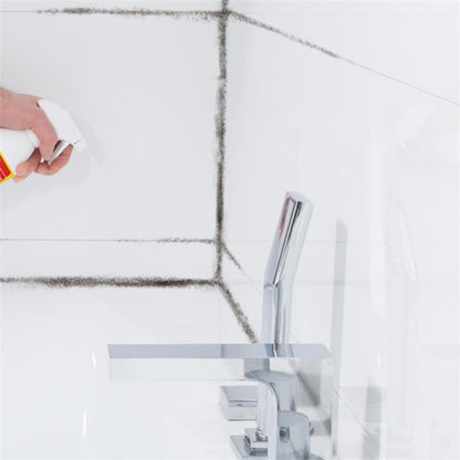 HG Schimmel-Vernichter 500ml