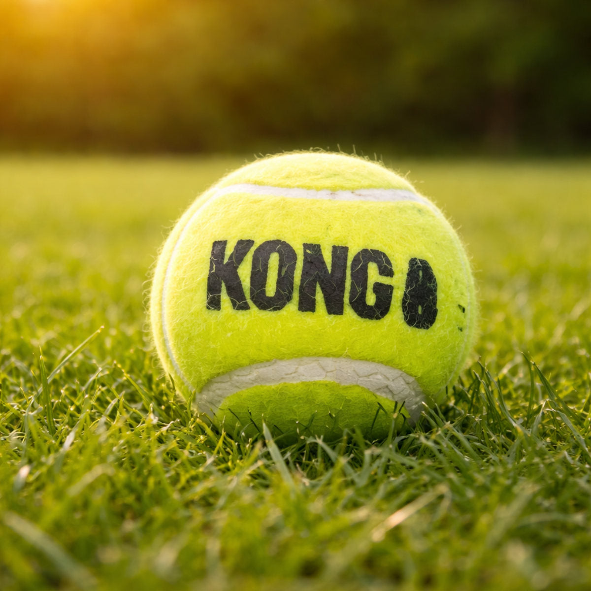 Hundespielzeug KONG SqueakAir Balls 6er Pack M