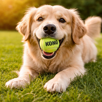 Hundespielzeug KONG SqueakAir Balls 6er Pack M